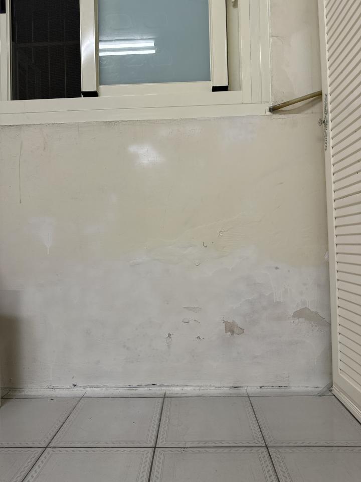 油漆工程案件圖片