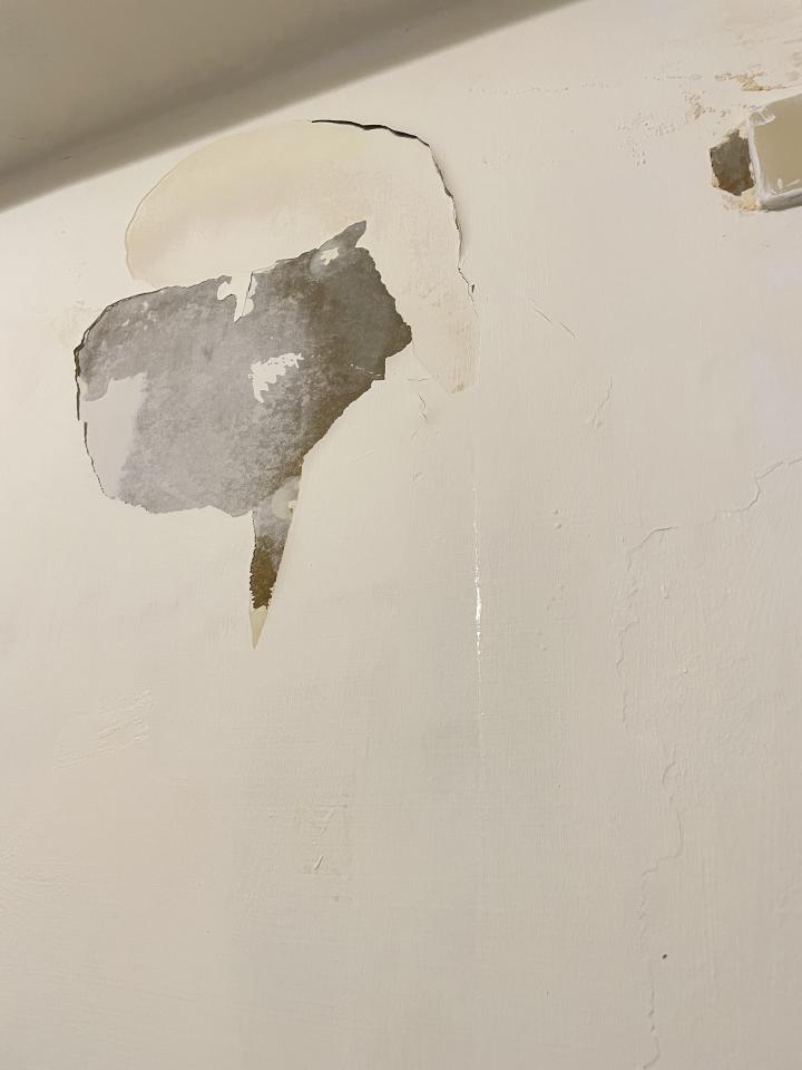 抓漏案件圖片