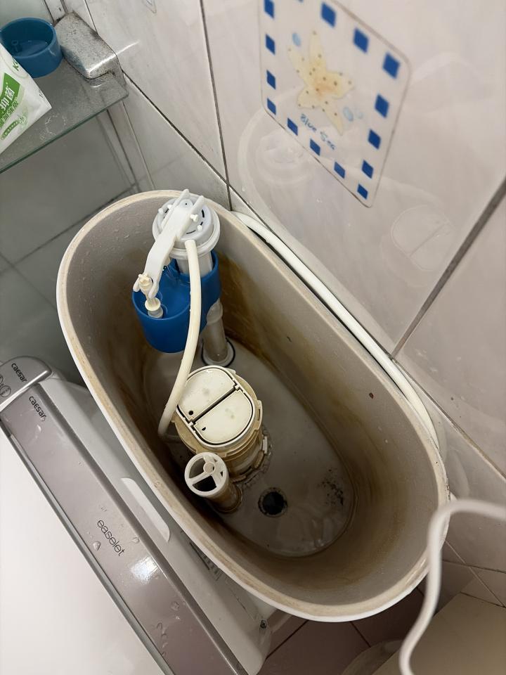 馬桶裝修案件圖片