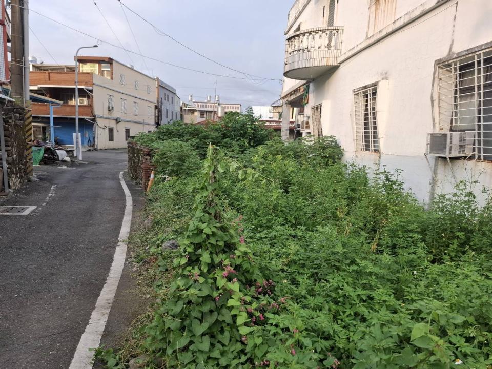園藝維護案件圖片