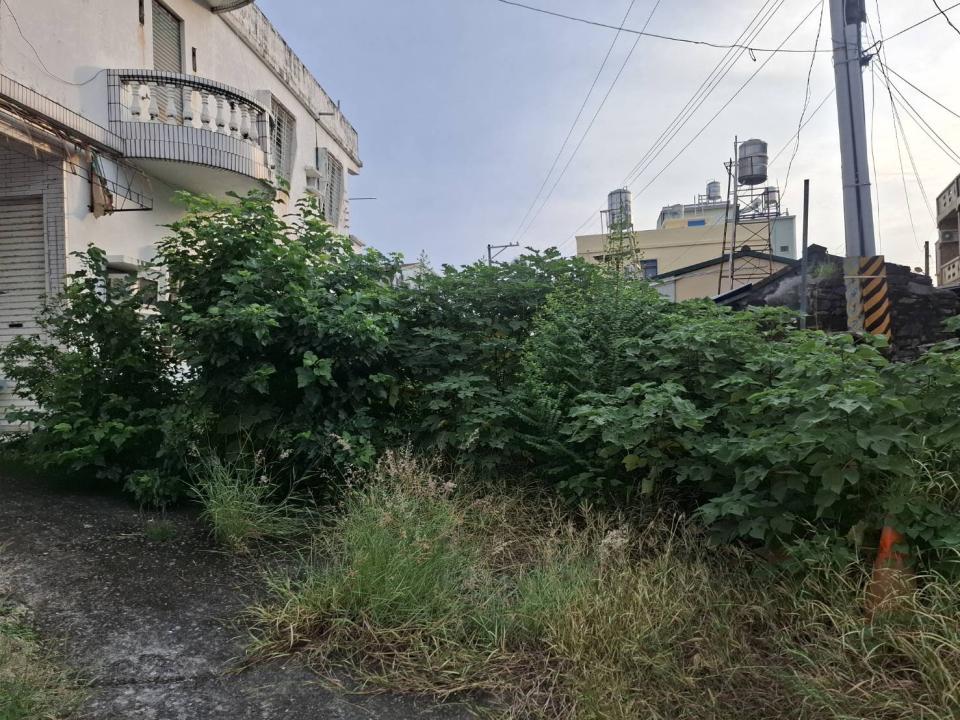 園藝維護案件圖片