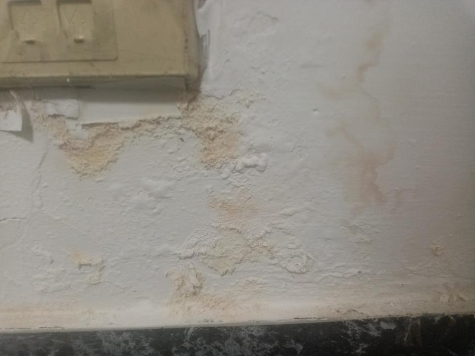 壁癌處理案件圖片