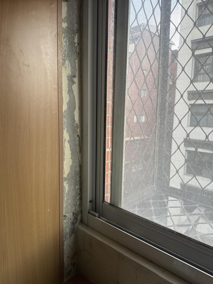 壁癌處理案件圖片
