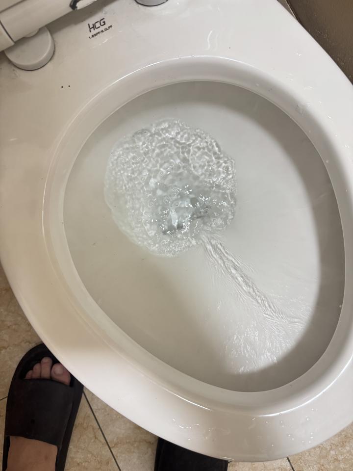 馬桶裝修案件圖片