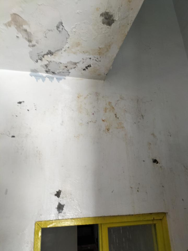抓漏案件圖片