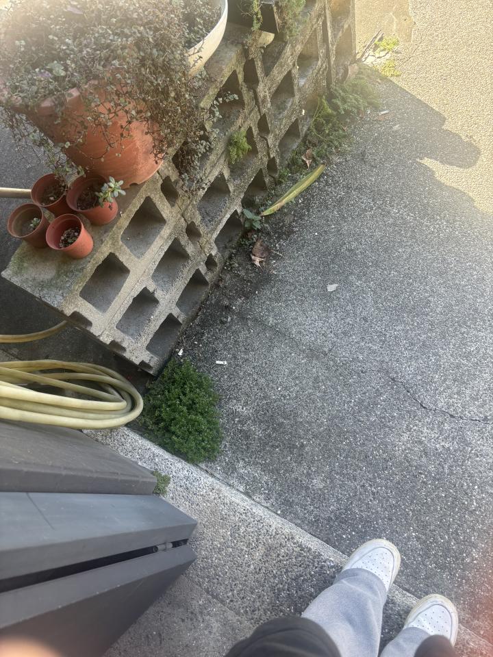 園藝維護案件圖片