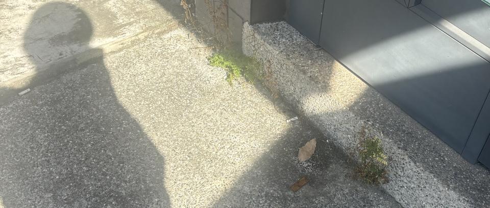 園藝維護案件圖片