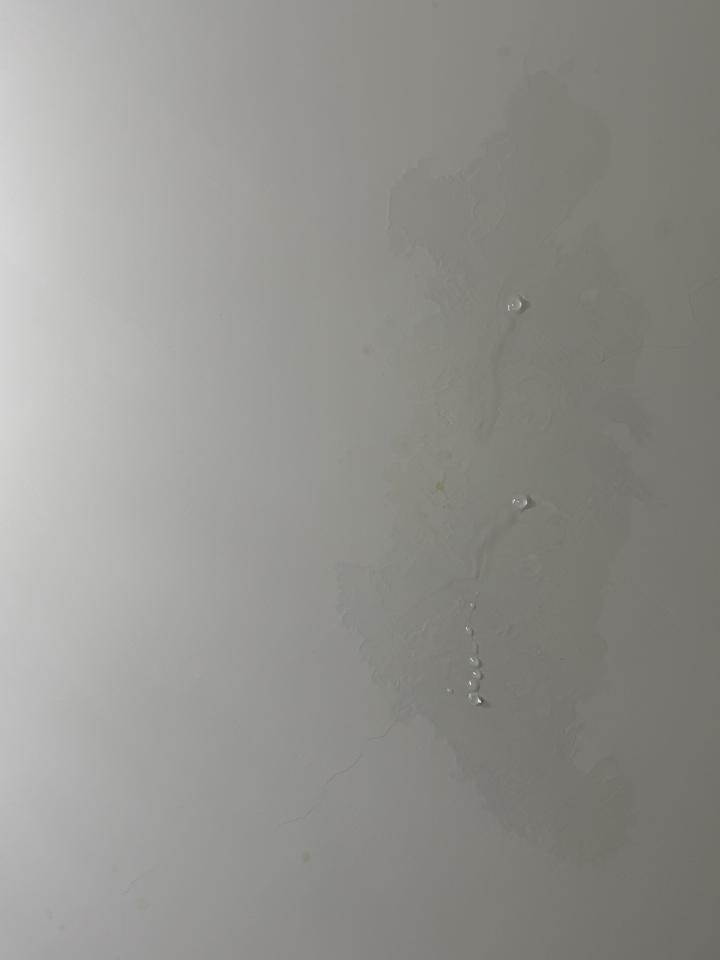抓漏案件圖片