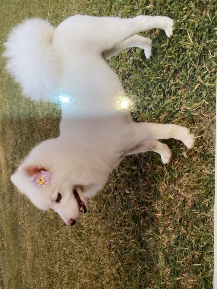 3D列印案件圖片