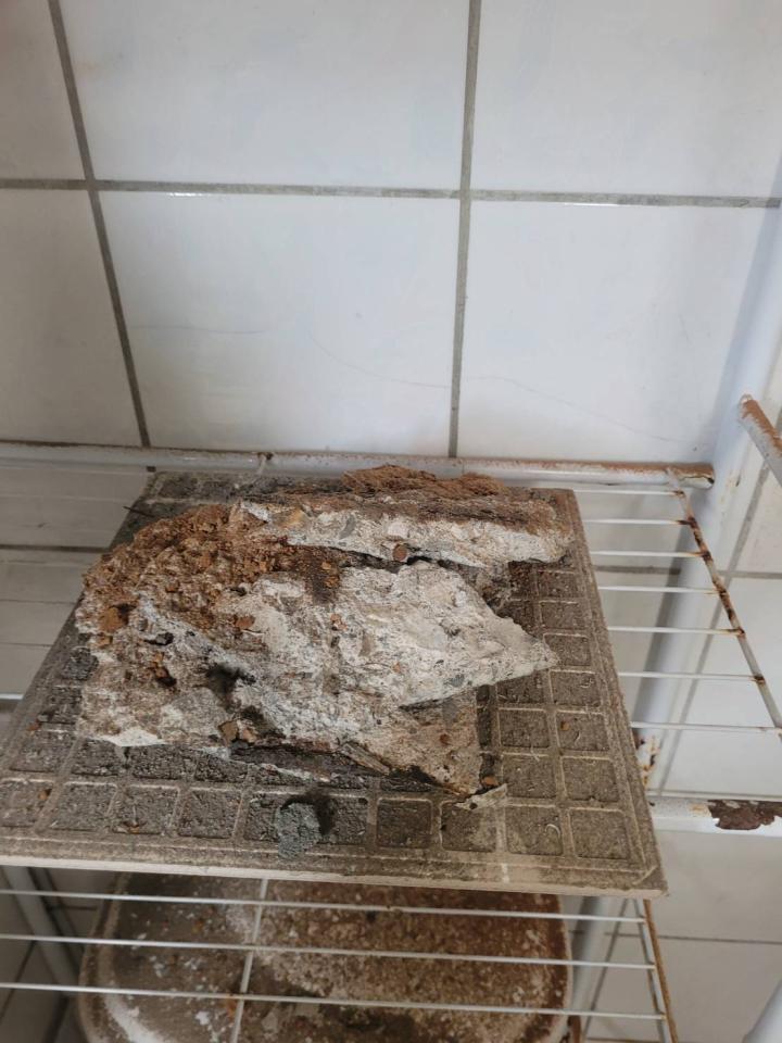 鋼筋外露處理案件圖片