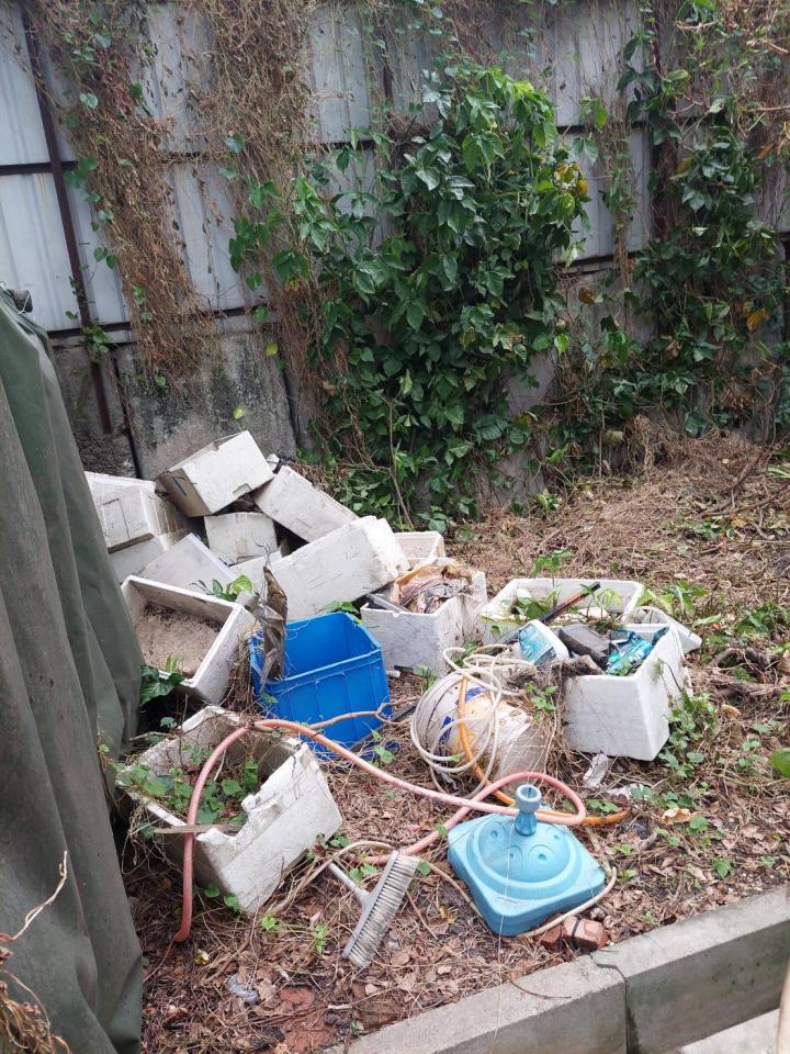 大型垃圾回收案件圖片