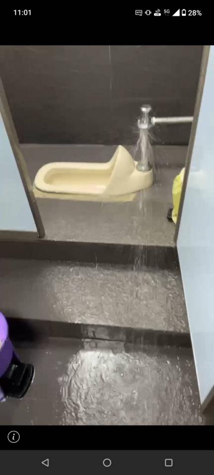馬桶裝修案件圖片
