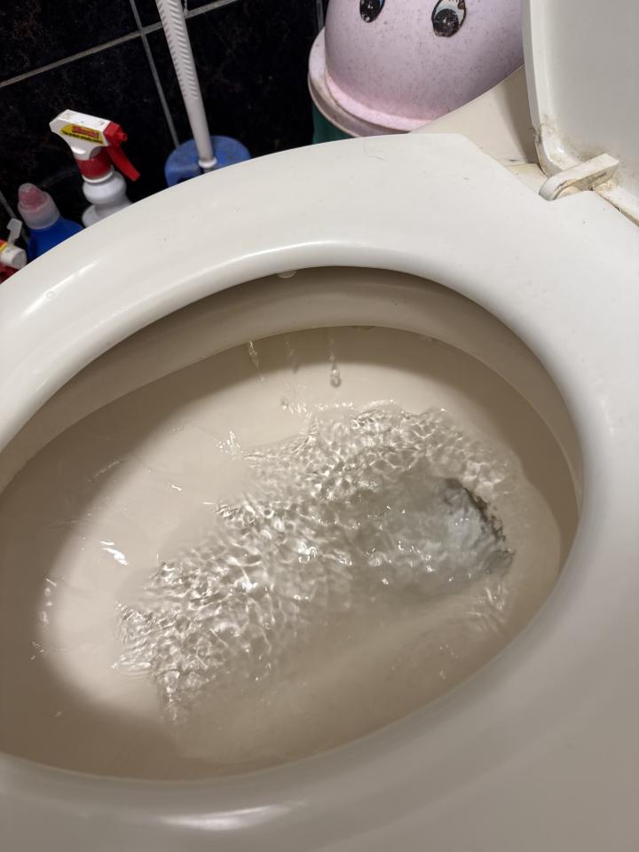 馬桶裝修案件圖片