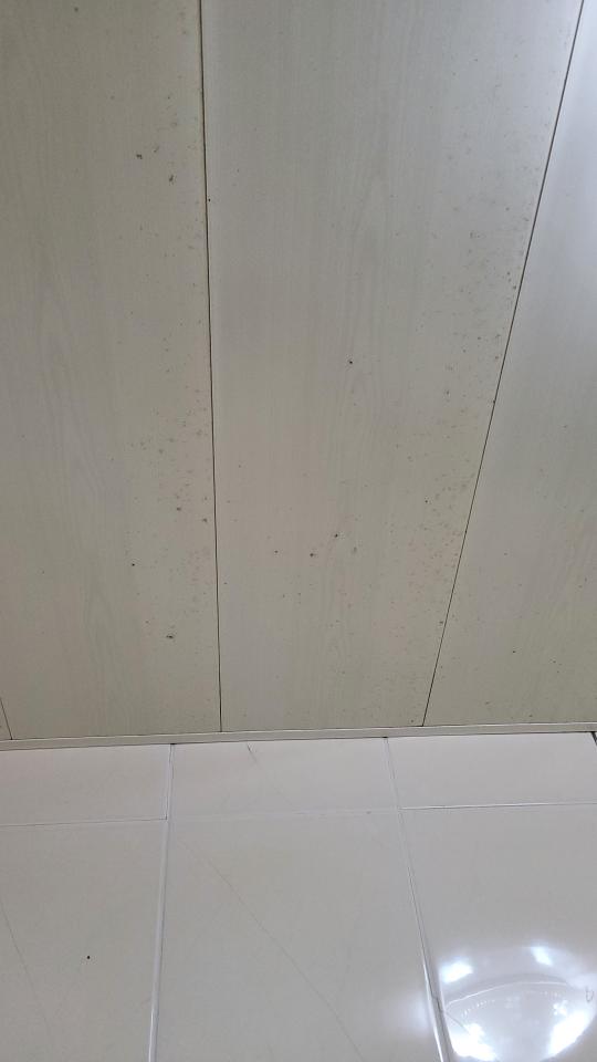 浴室除霉清潔案件圖片