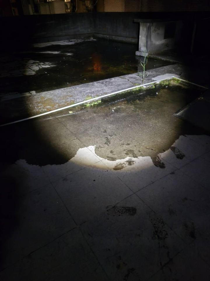 抓漏案件圖片 抓漏案件圖片