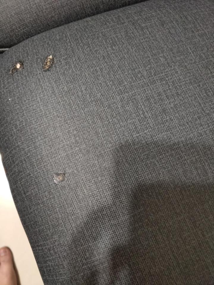 沙發修理案件圖片