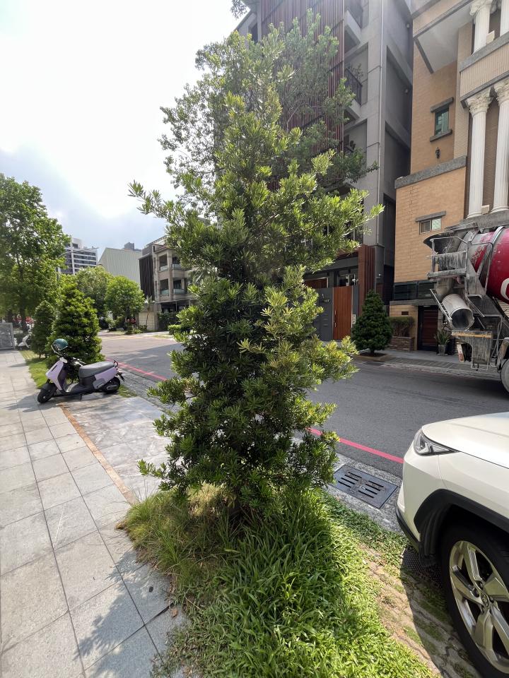 園藝維護案件圖片