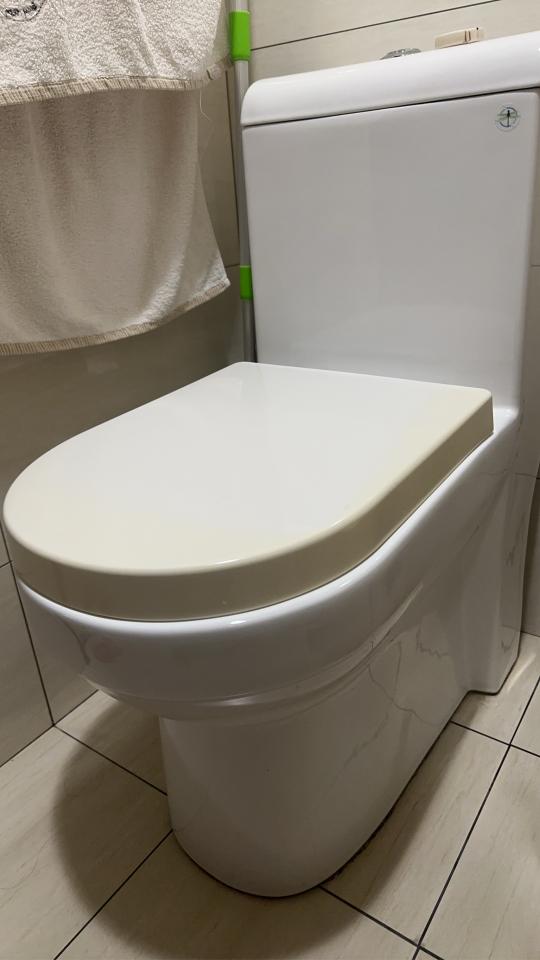 馬桶裝修案件圖片