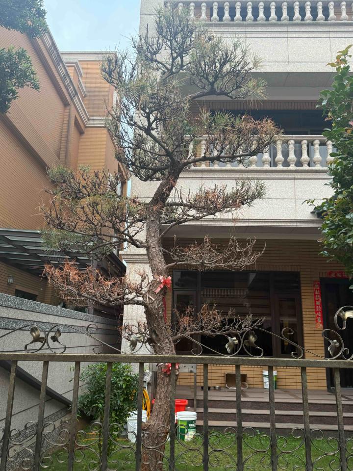 植物診療師案件圖片 植物診療師案件圖片