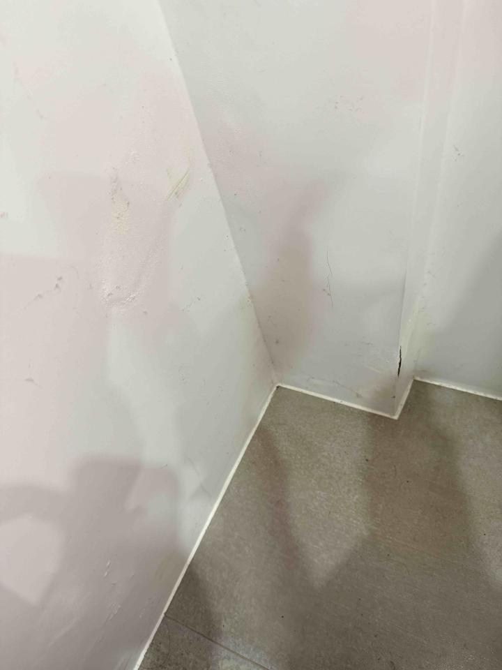 泥作/水泥施工案件圖片