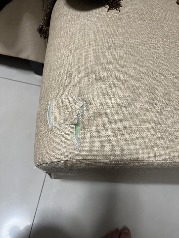 沙發修理案件圖片
