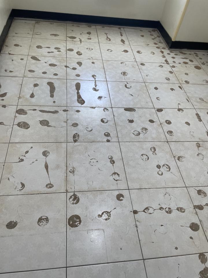 磁磚清潔案件圖片