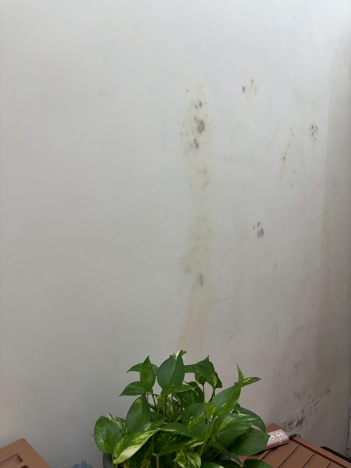 抓漏案件圖片