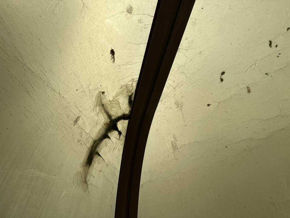 採光罩案件圖片