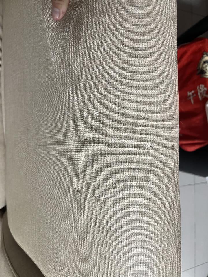 沙發修理案件圖片