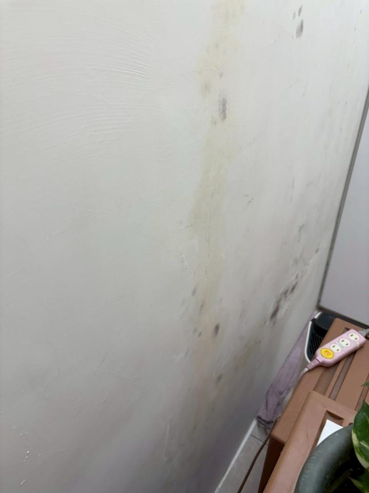 抓漏案件圖片