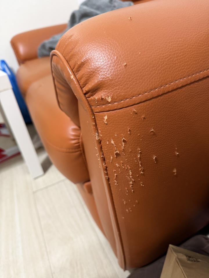 沙發修理案件圖片