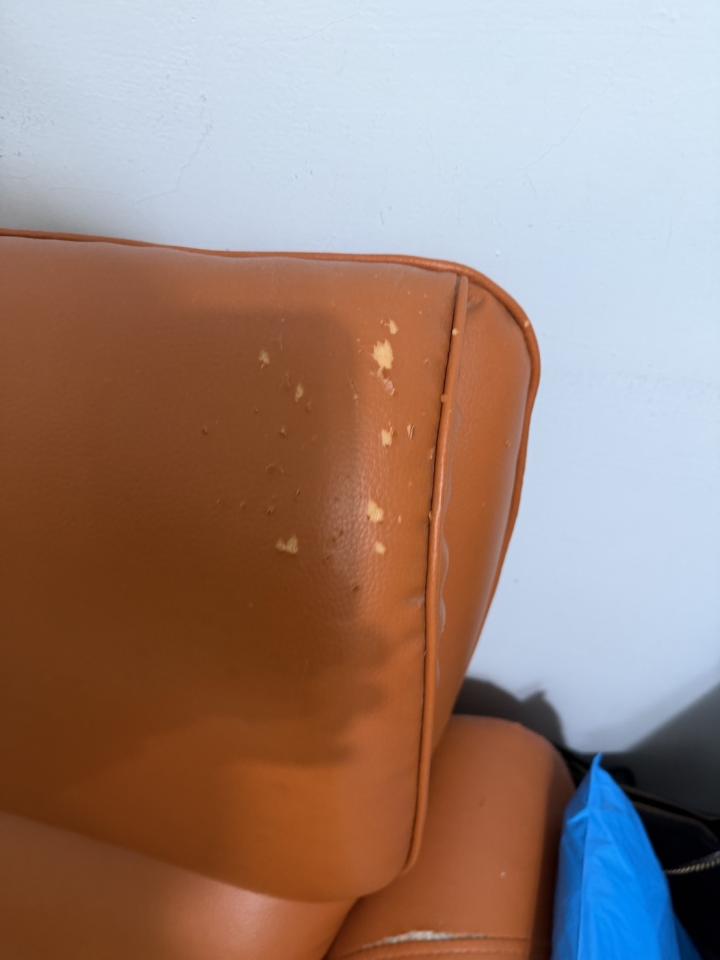 沙發修理案件圖片