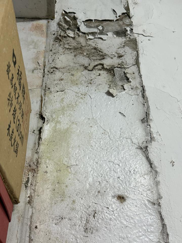 壁癌處理案件圖片