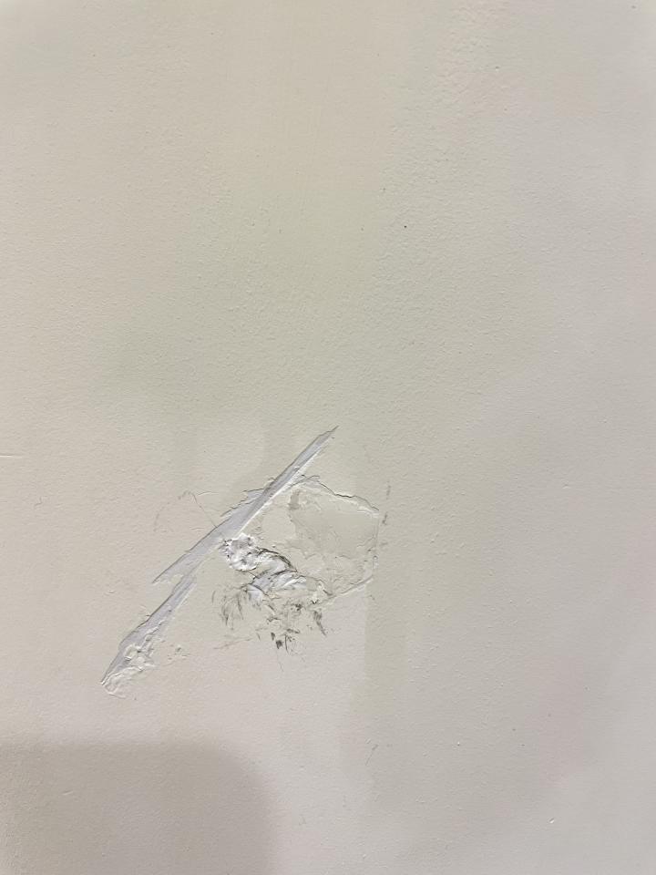 油漆工程案件圖片