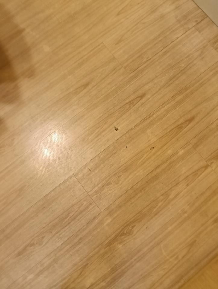 地板施工案件圖片