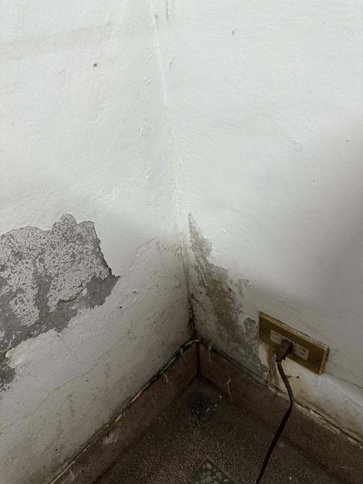 壁癌處理案件圖片