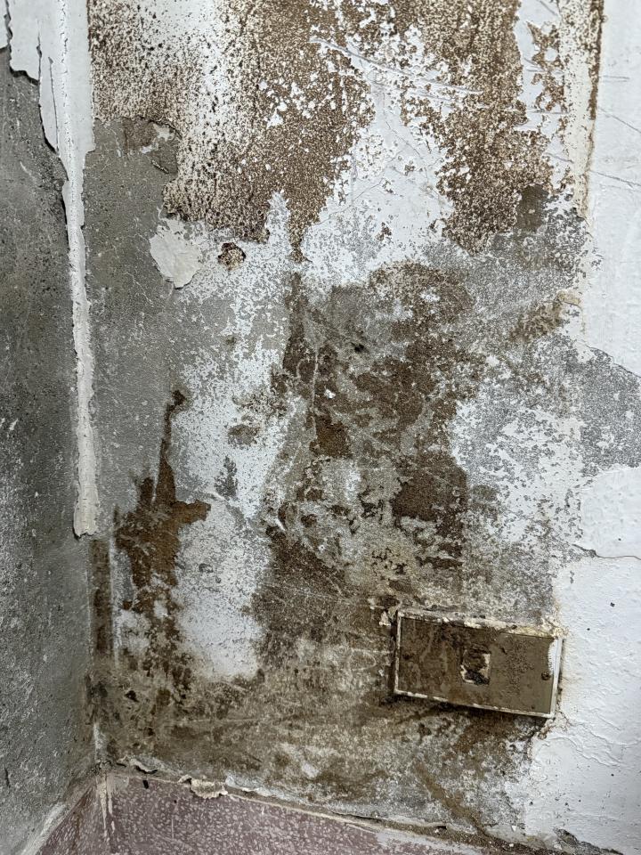 壁癌處理案件圖片