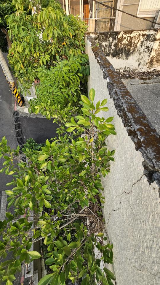 結構補強工程案件圖片