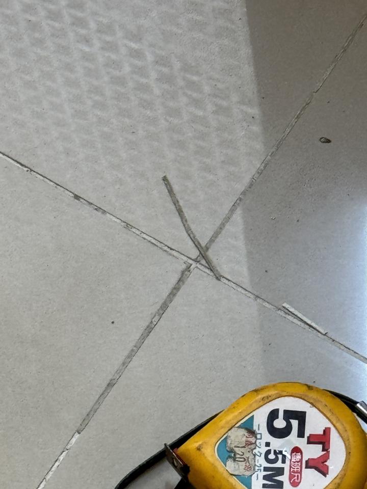 磁磚修補案件圖片