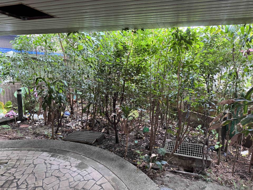 泥作/水泥施工案件圖片 泥作/水泥施工案件圖片
