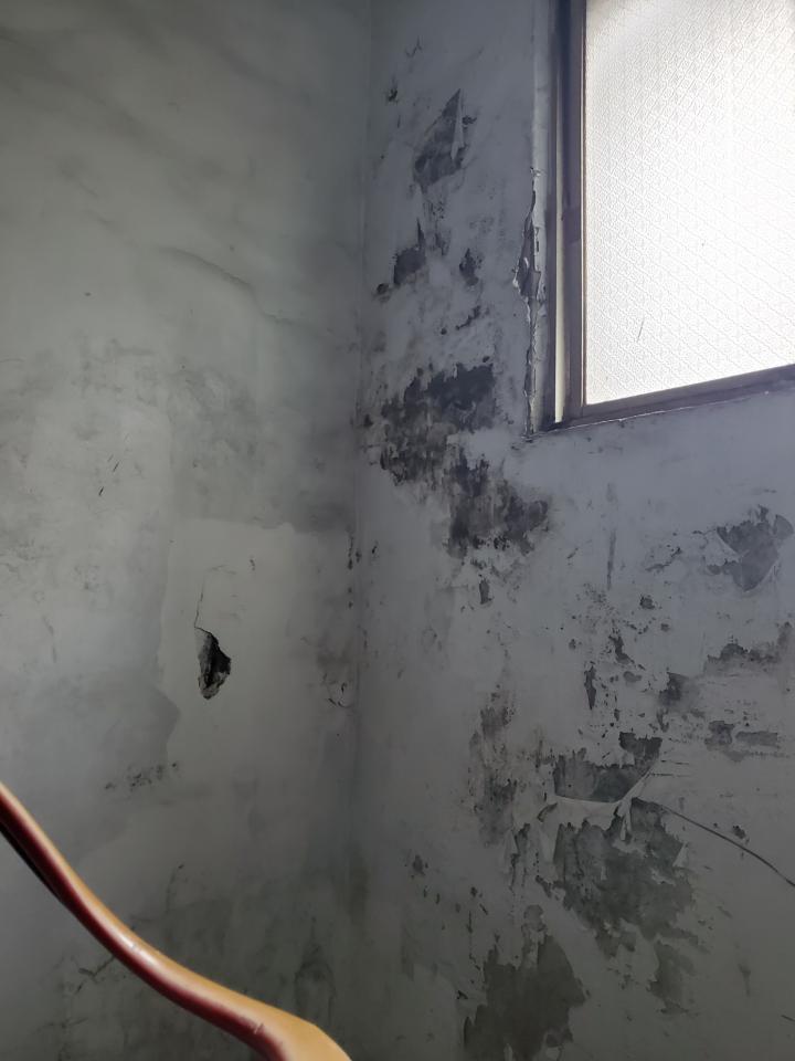 鋼筋外露處理案件圖片