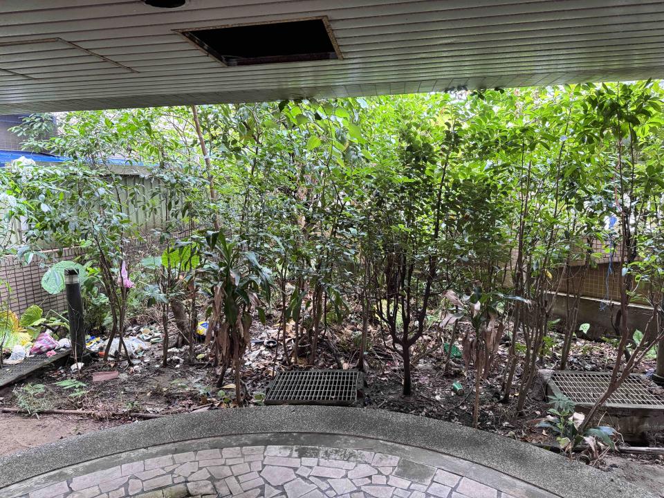 園藝維護案件圖片