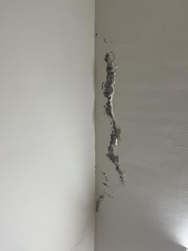 壁癌處理案件圖片