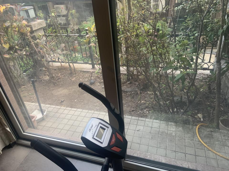 園藝維護案件圖片