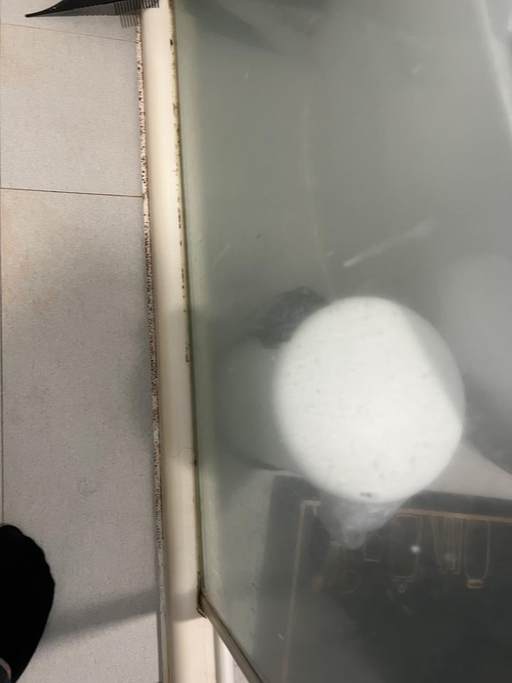 浴室除霉清潔案件圖片