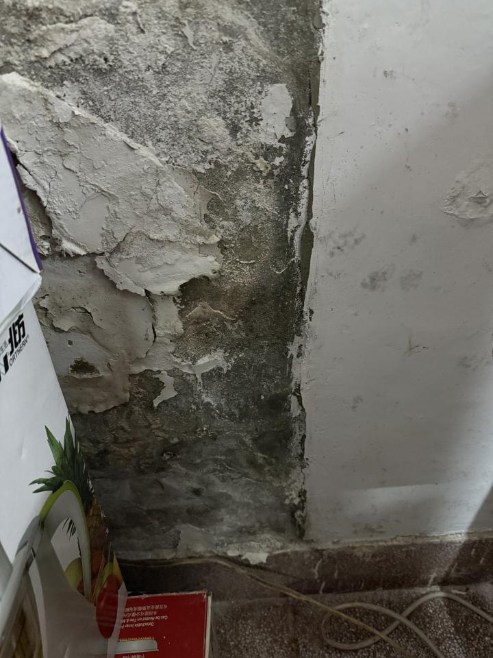壁癌處理案件圖片
