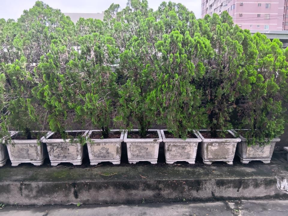 回頭車案件圖片