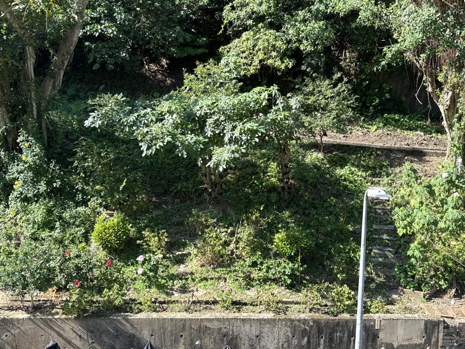 園藝維護案件圖片 園藝維護案件圖片