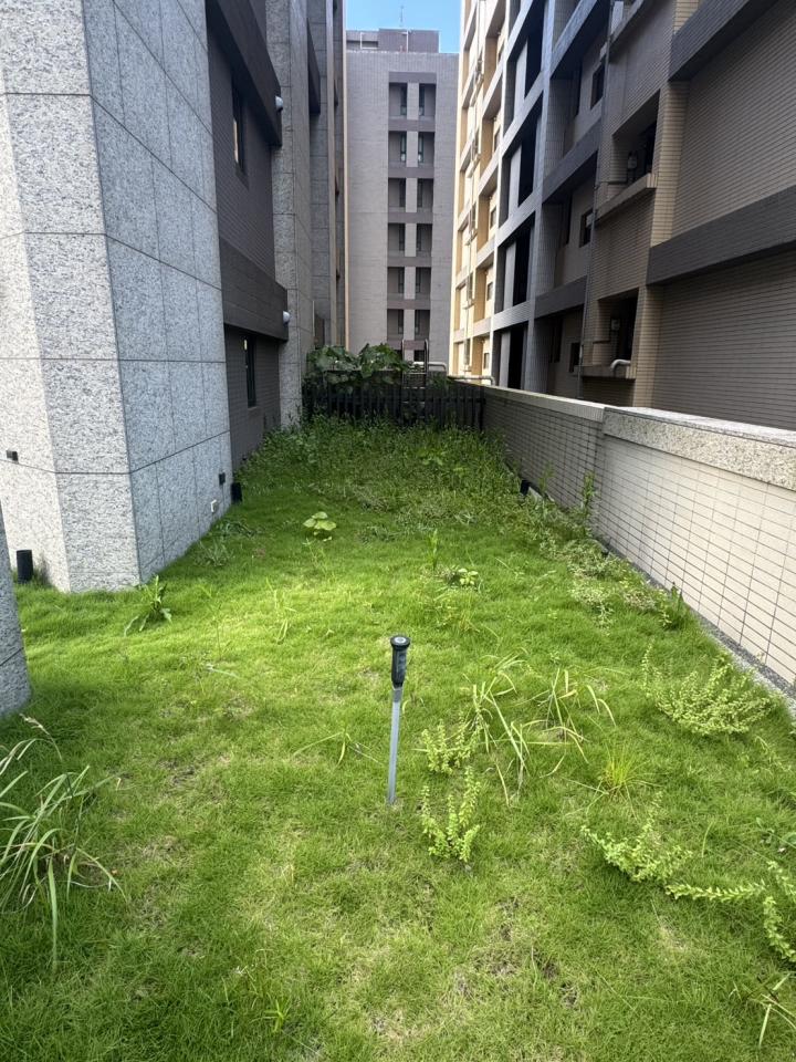 園藝維護案件圖片 園藝維護案件圖片