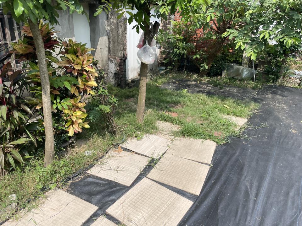 園藝維護案件圖片
